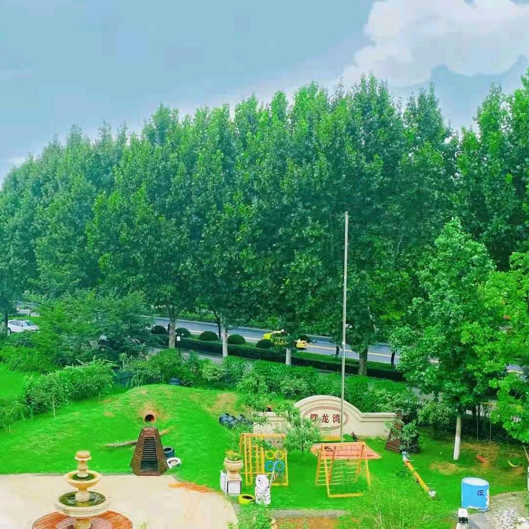 沭阳县仰龙湾儿童之家