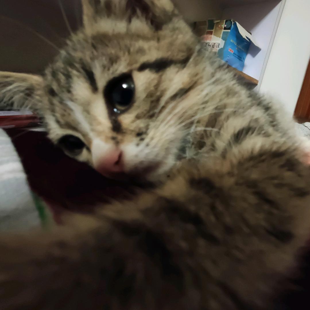 哇哦