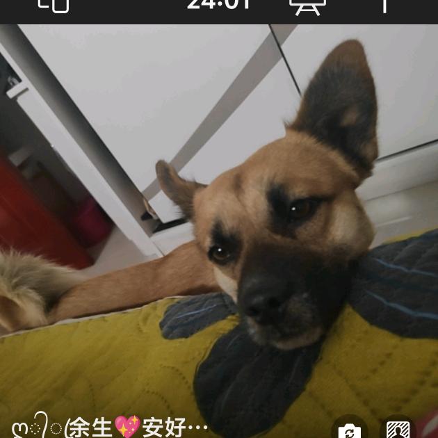 爱好旅游。