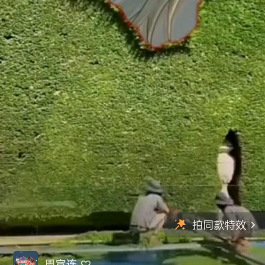 除了坚强，别无选择