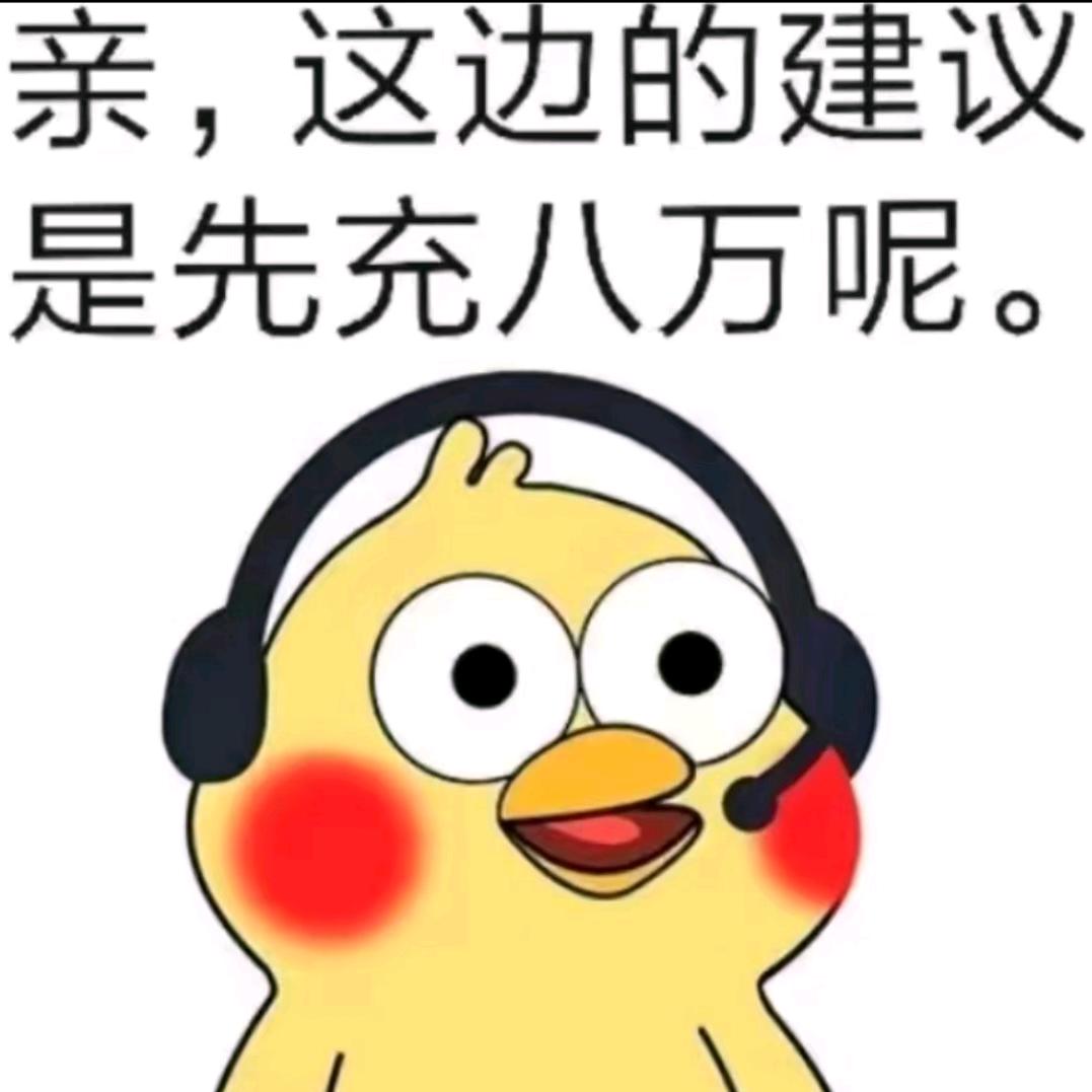 十三楼的大笨象