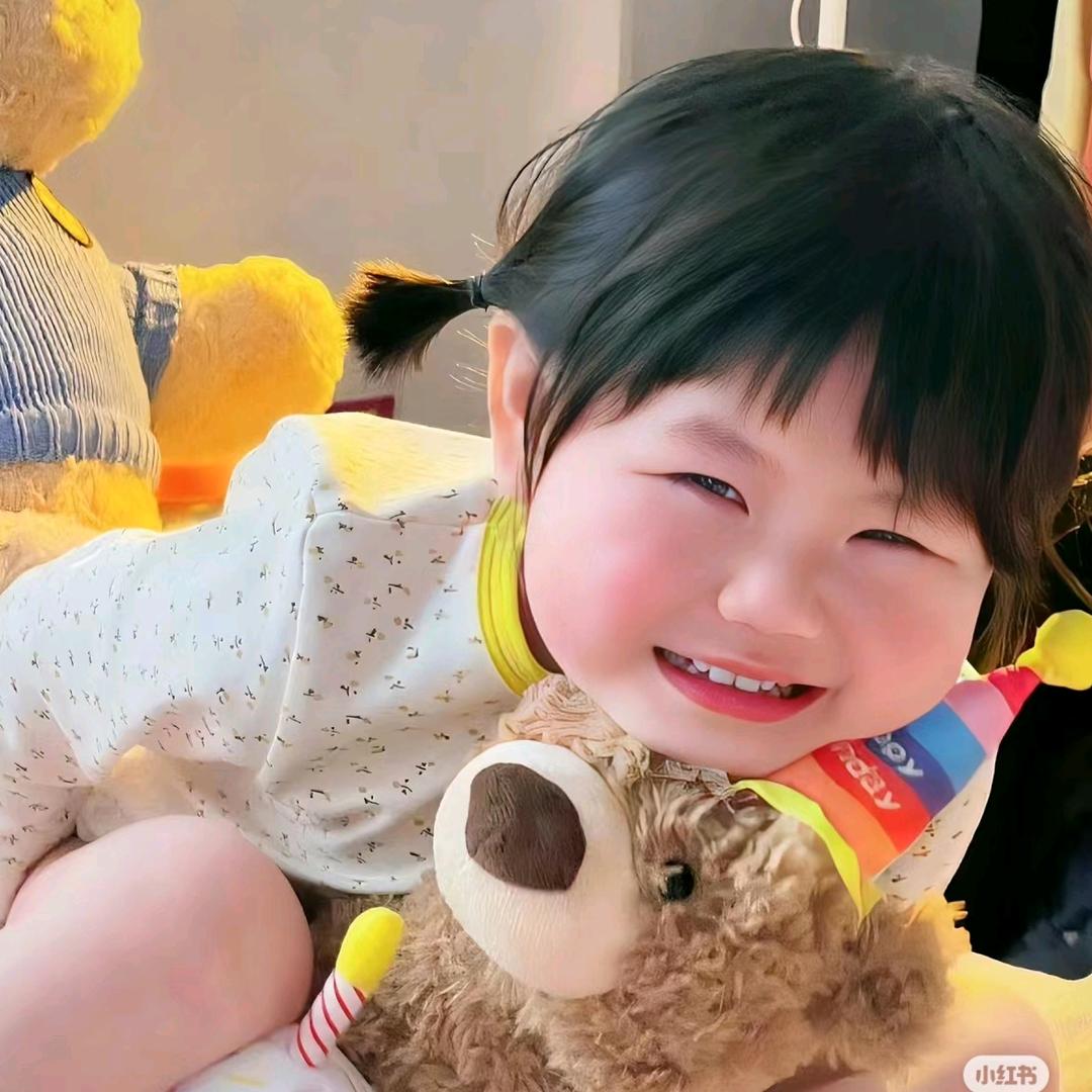 发呆呆呆鱼