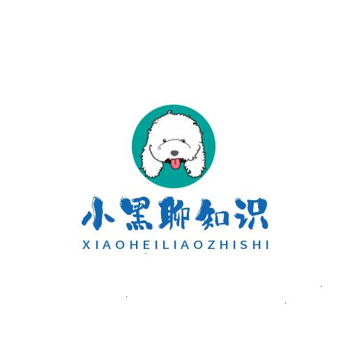 小黑聊知识
