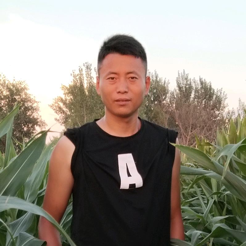@临泉 ----磊磊