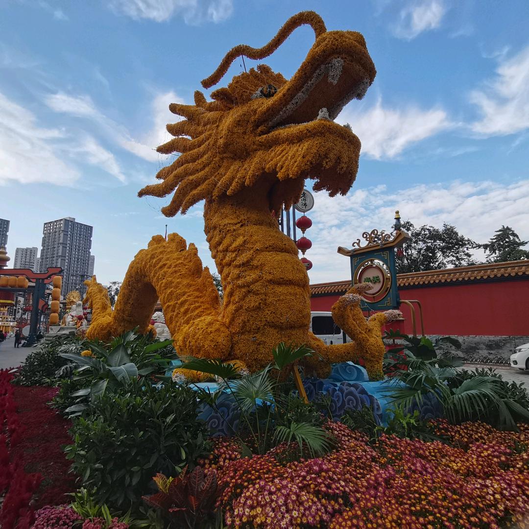 世界和我爱着你