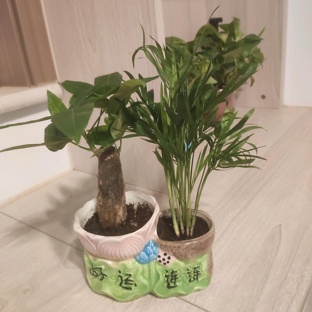 相^0^思