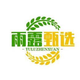 雨露甄选