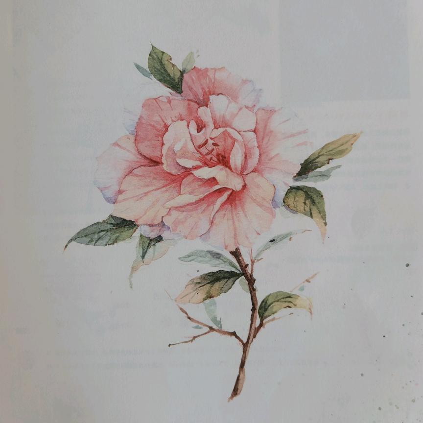 香含
