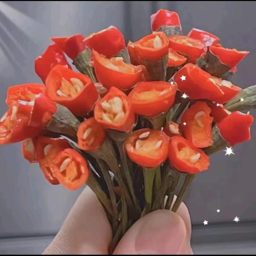 广州花都区绿都种苗场