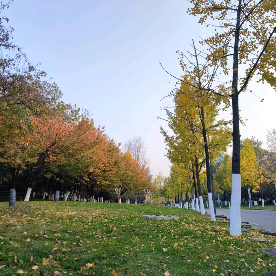 🌸🌸🌸☔️☔️☔️