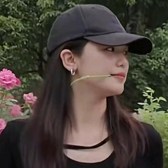 杨夕安康优选