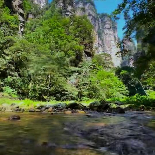高山流水猎人魂