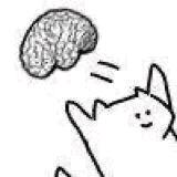拾荒者⁶