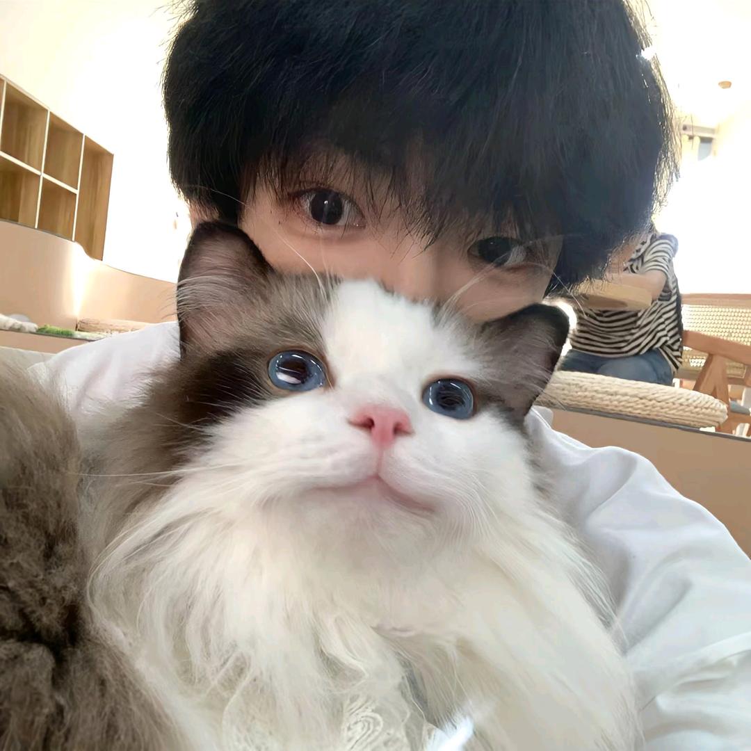 XC(见过薛之谦版)