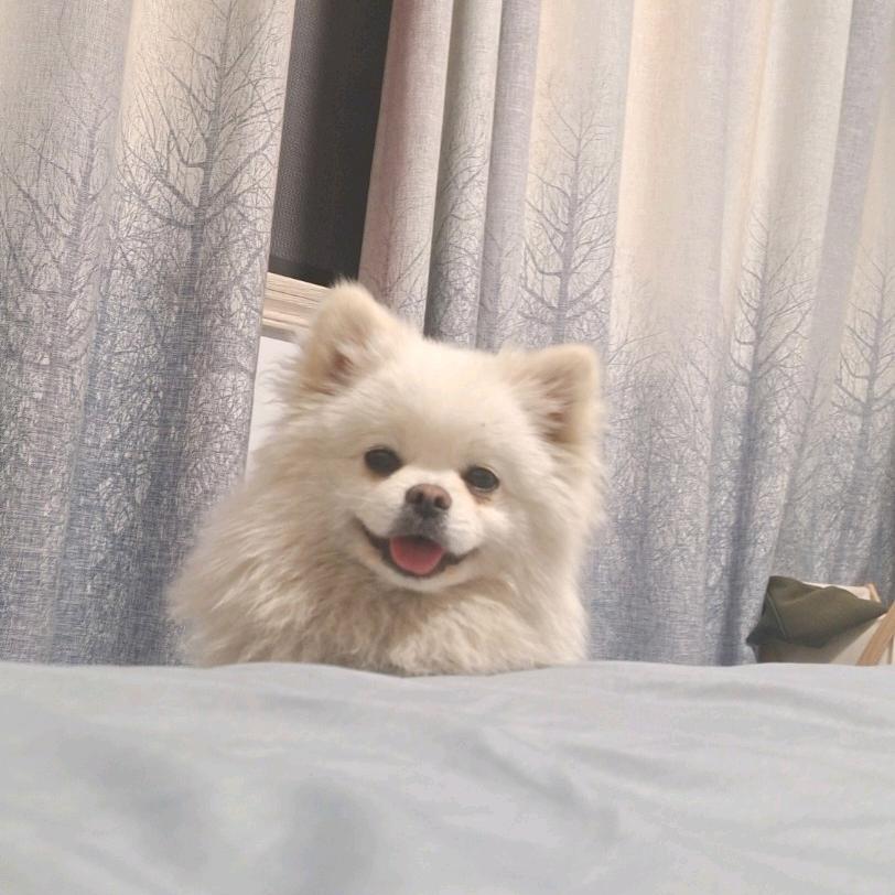 瑞雪在笑