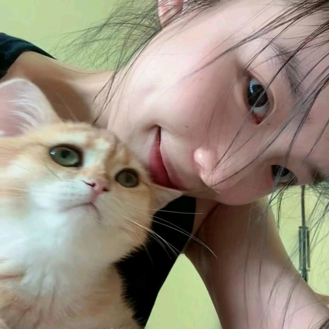 耶耶脆脆鲨