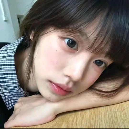 你居然真带我撞树.