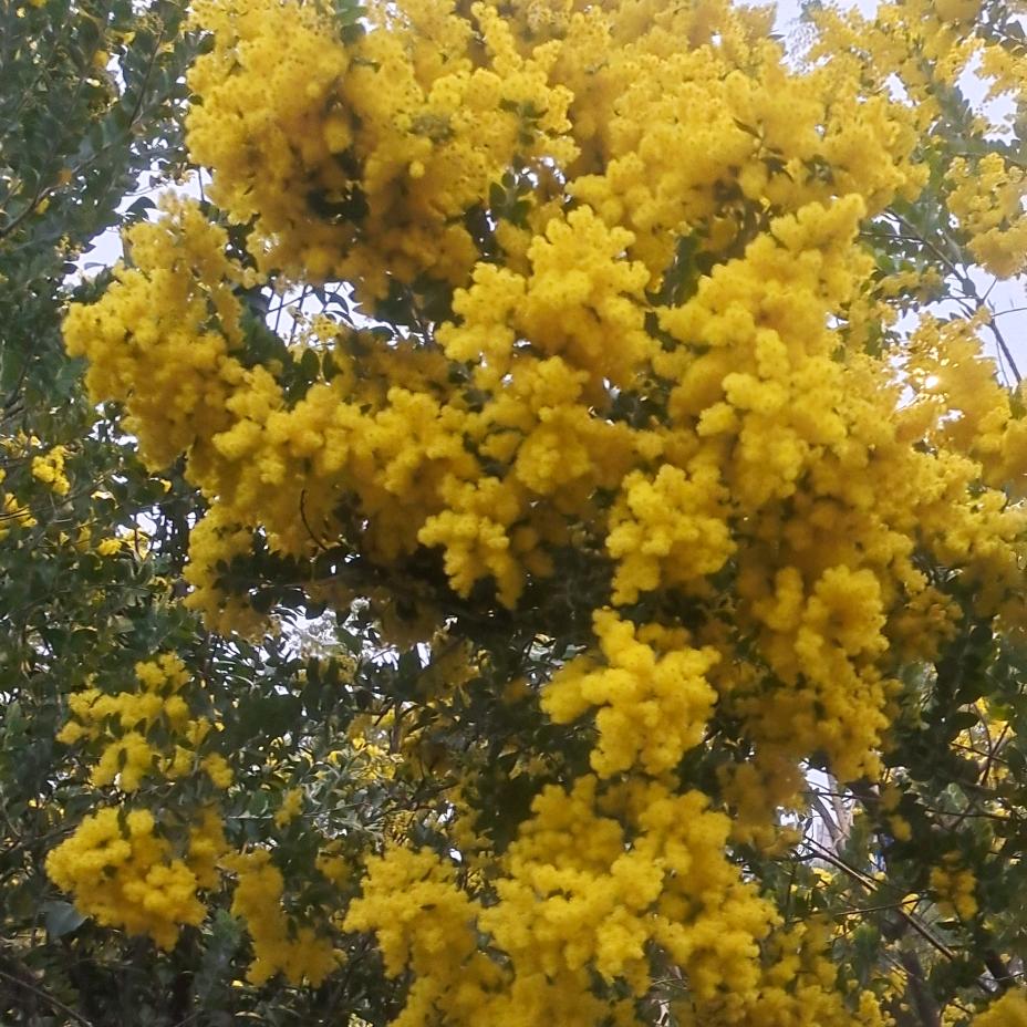 哥的伤^O^你不懂