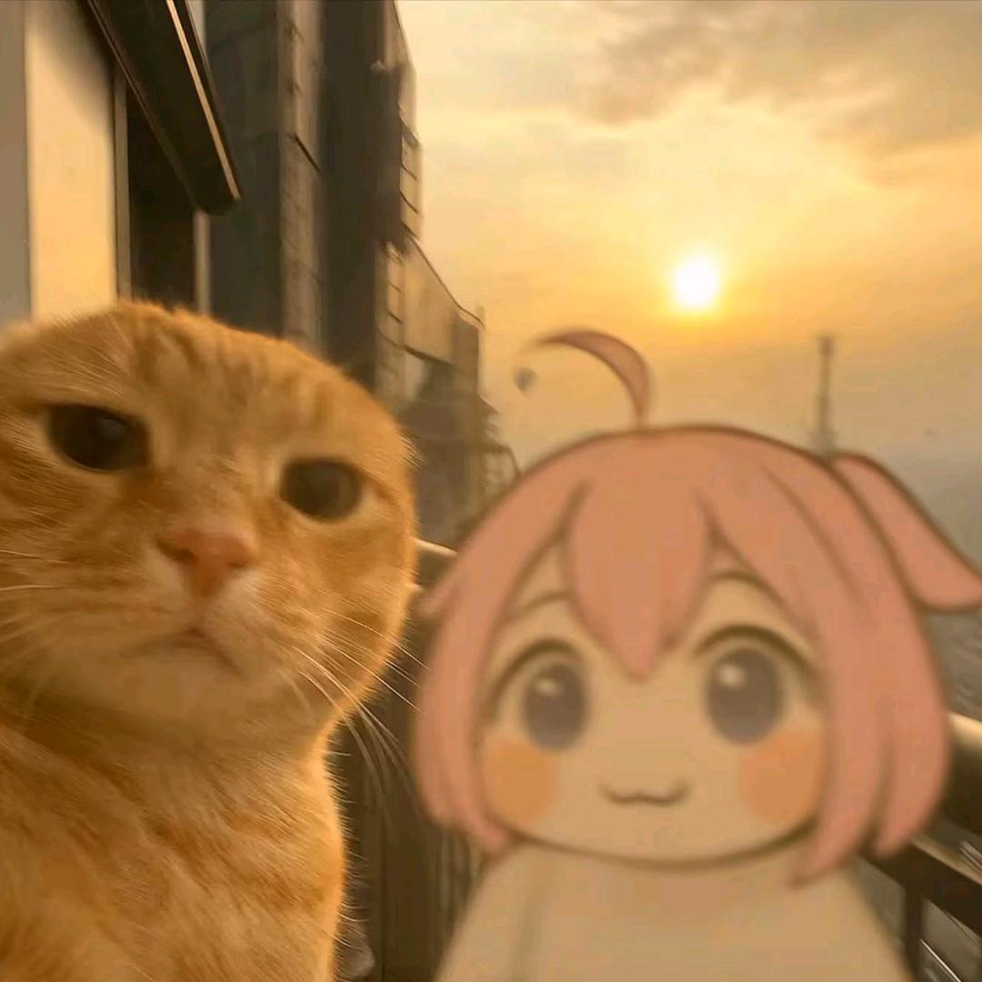 陈呀