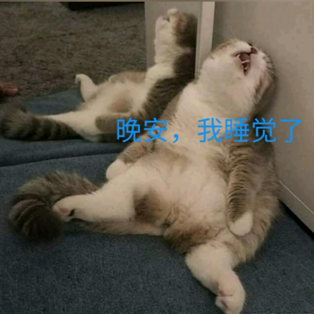 一念永恒
