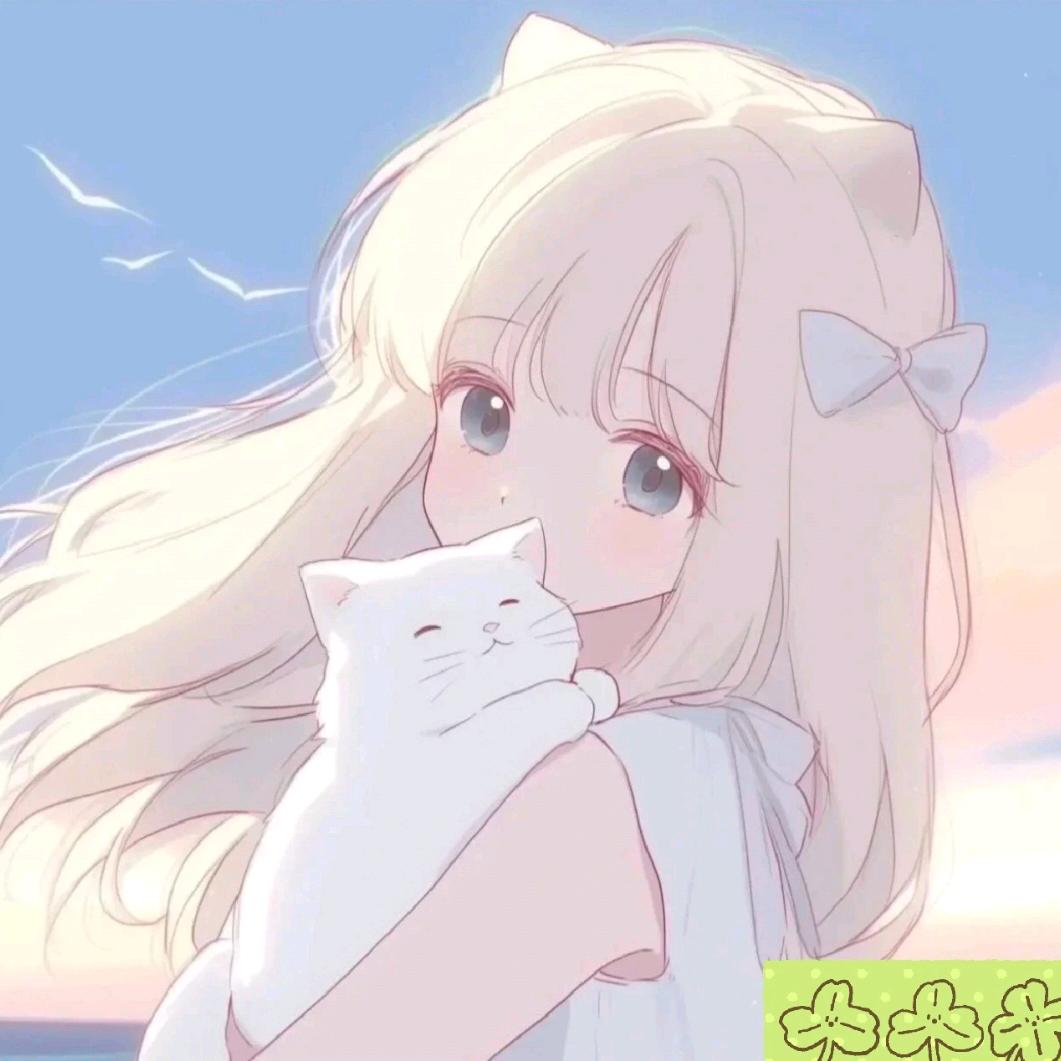 圈圈子