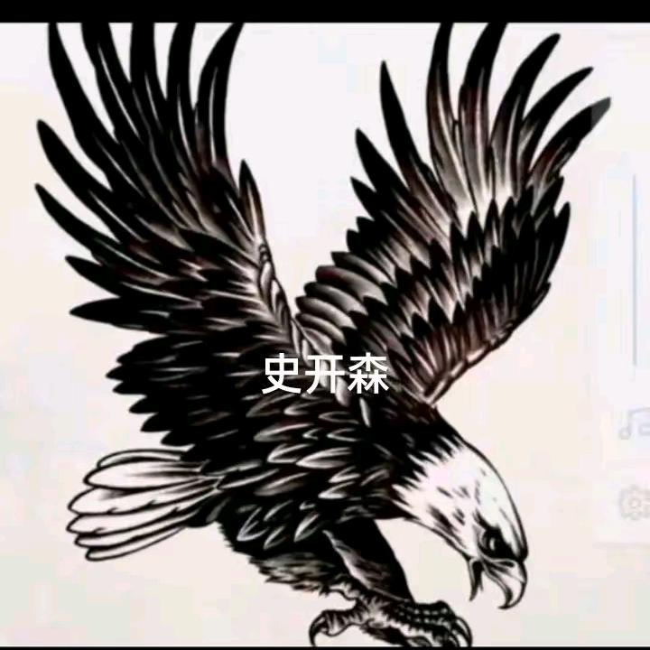 被情伤透心的男人(姓史)