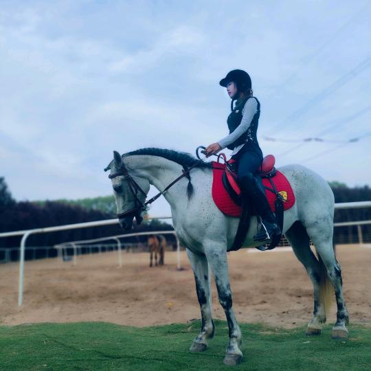 风光马术俱乐部