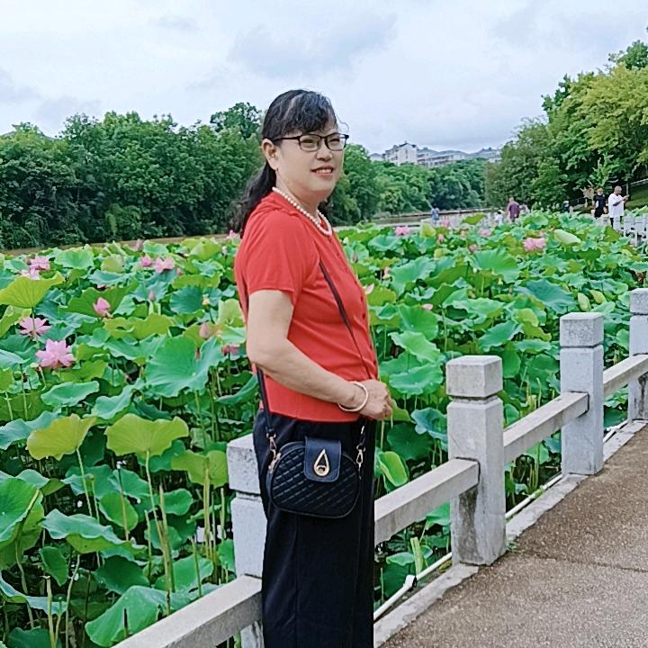 映山红🍎🍎🍎🌹🌹🌹🙏（戴）