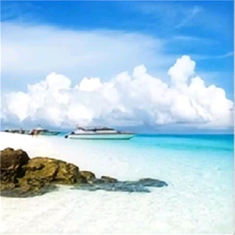 盱眙德之佳房地产信息咨询服务部