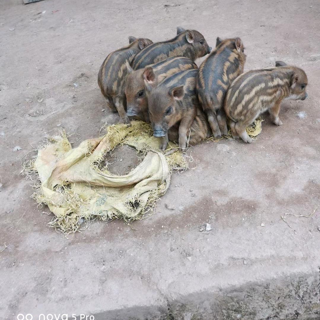 看淡人生