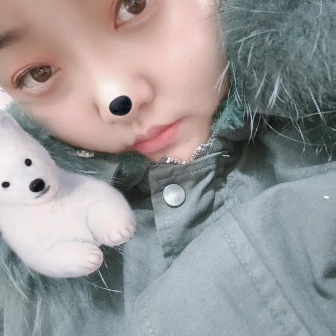 木槿花开正艳