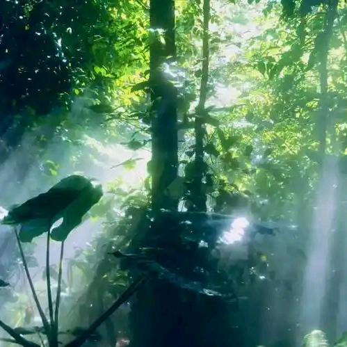 上井精致料理特惠团购