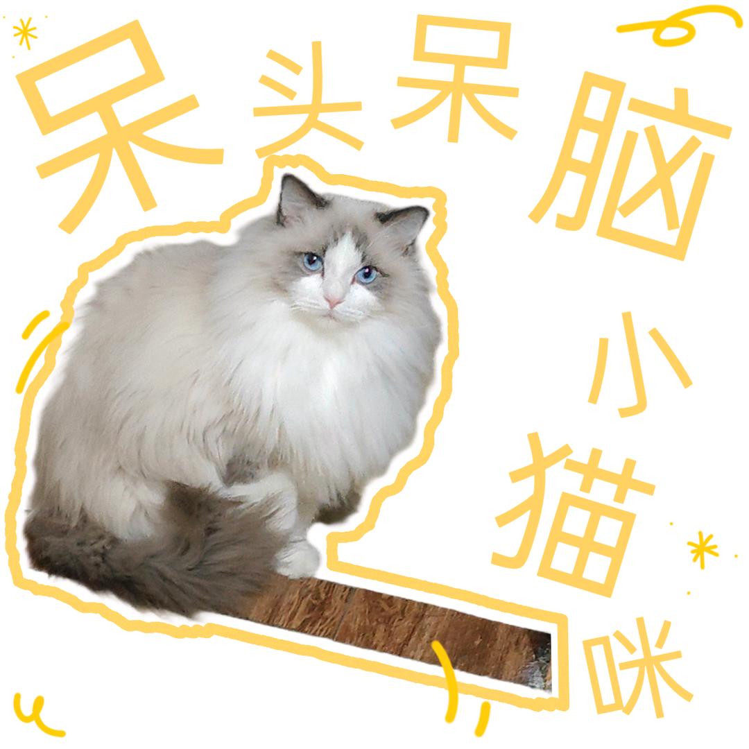 柠檬不酸
