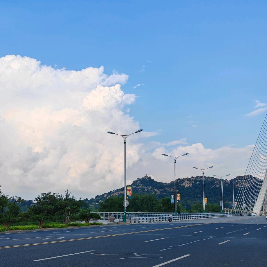 向日葵🌻向日葵