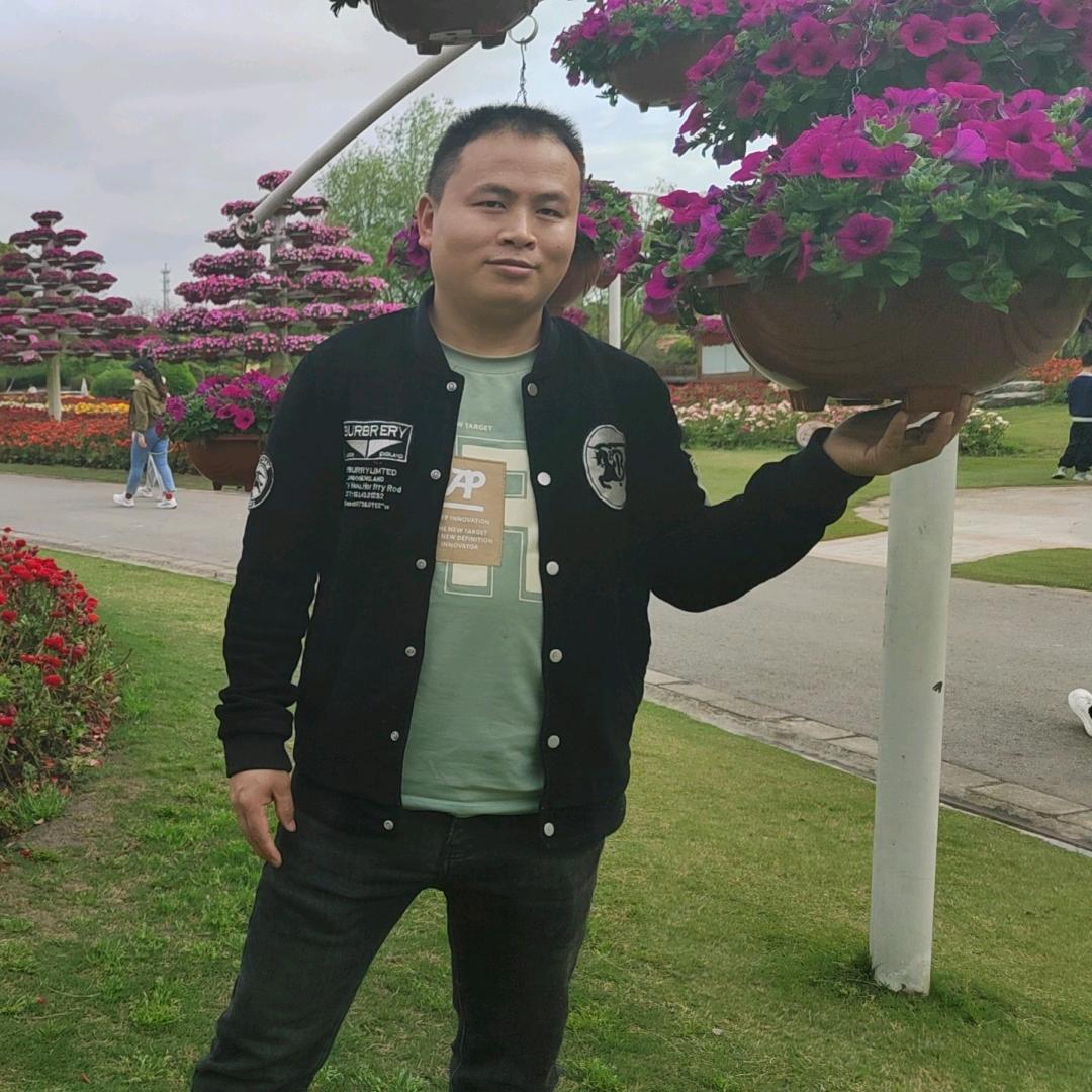 啊飞歌