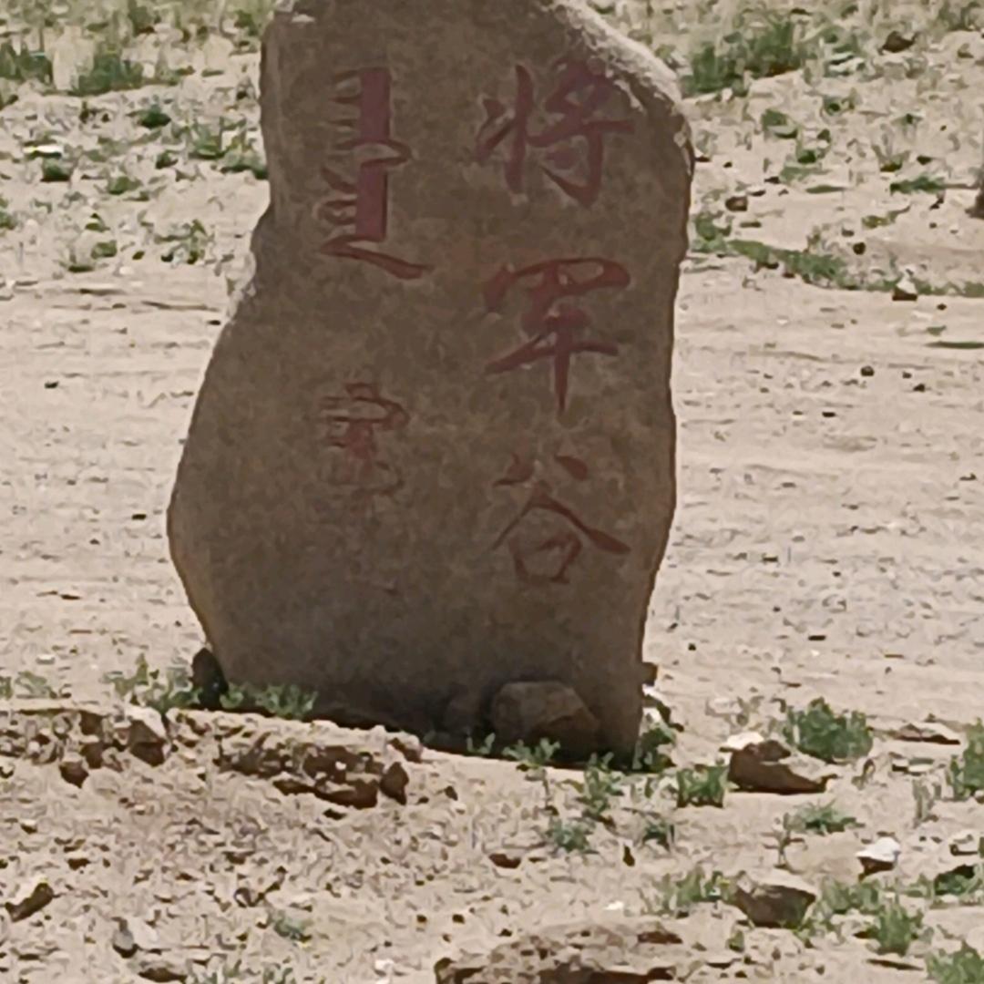 防沙治沙工程队