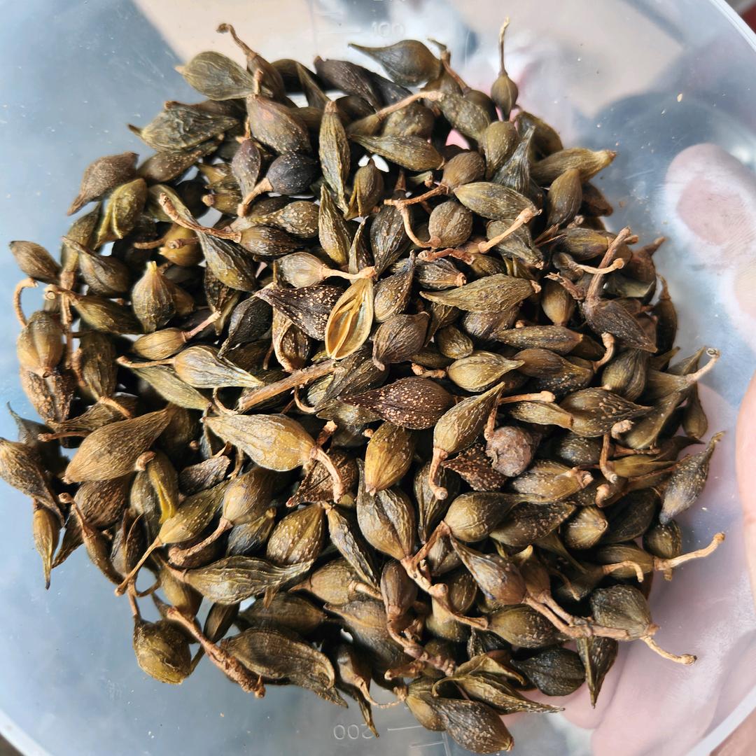 管陶 💋农副产品明星油坊