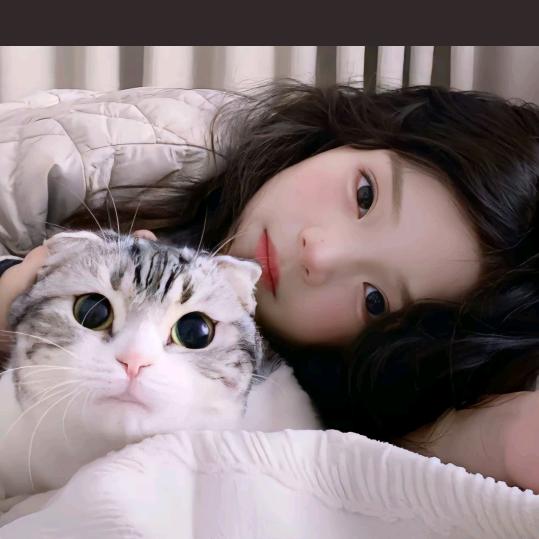 ᰔᩚ凌晨一点.的猫