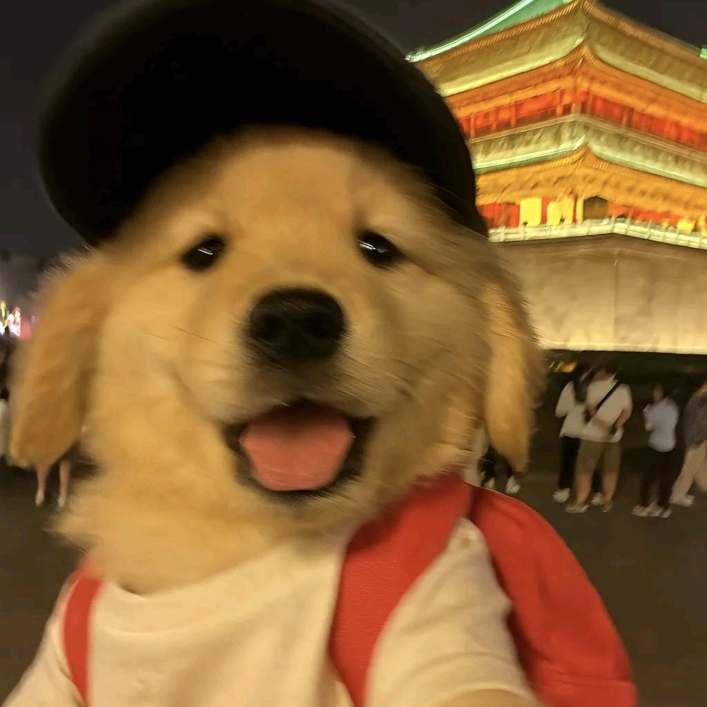 鸡丁炒辣椒