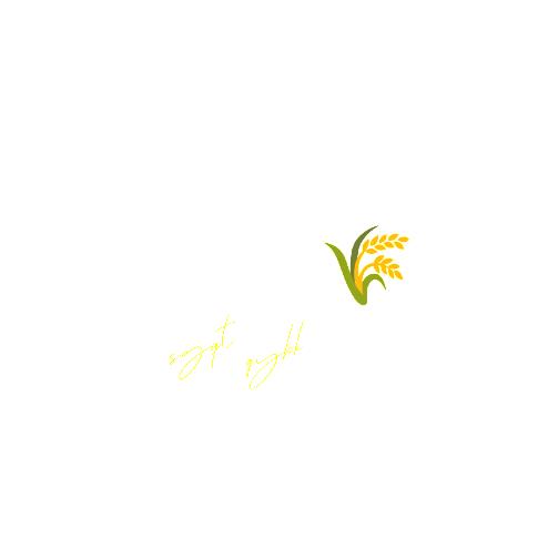 ō耶🌾（见过十勤版）