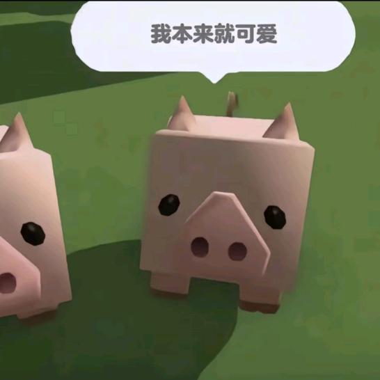 路知行