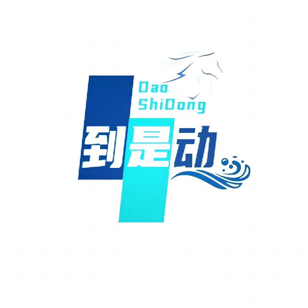 到是动文化执行团队