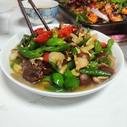 冷艺荟萃