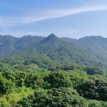 广州市莱恩眼镜民蕊药业连锁商贸有限公司