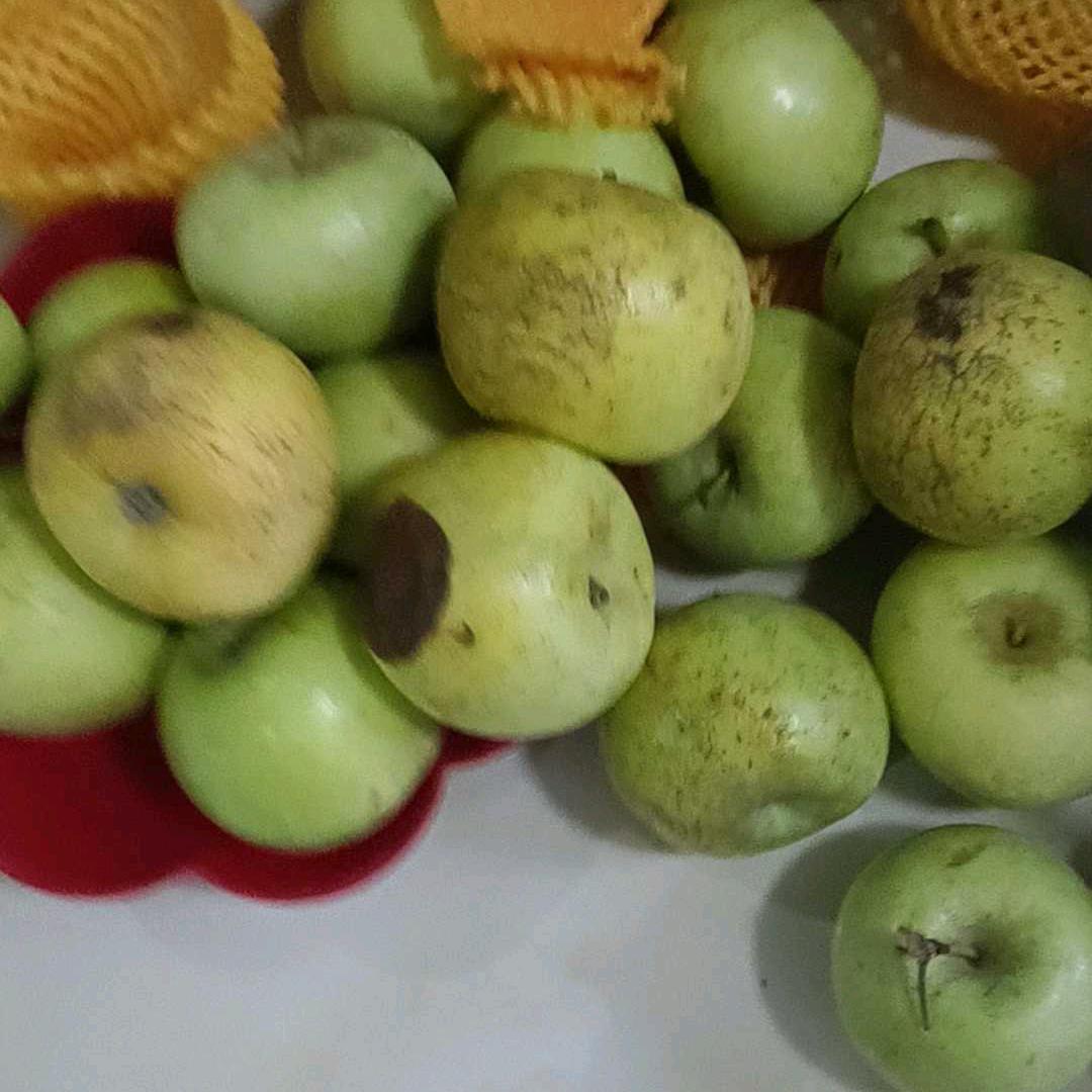 大哥哥，