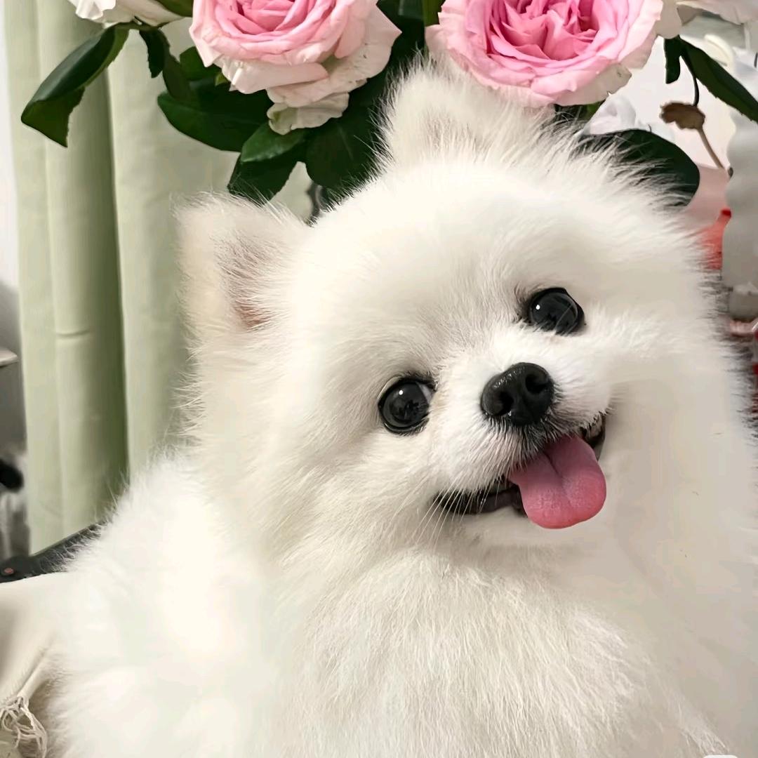 可乐做企转