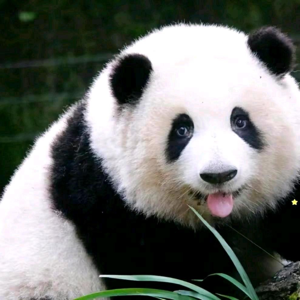我的爱