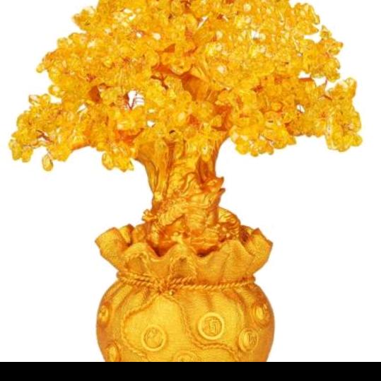 冰果