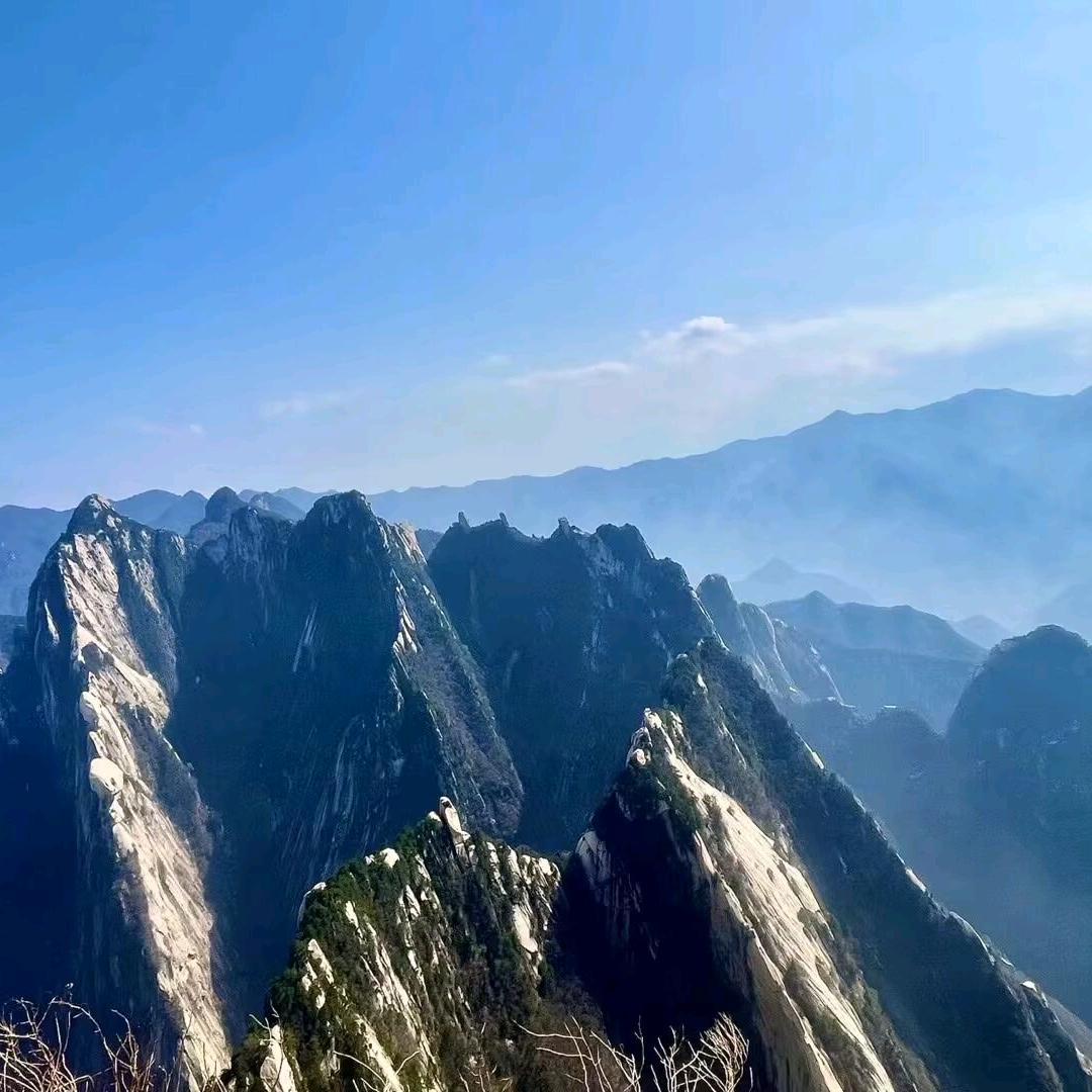 金珍珠