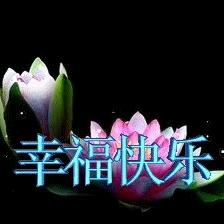 阳光男孩